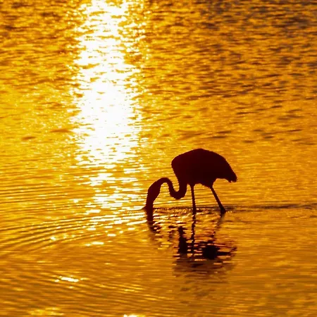 Appartement Comfort, Your Retreat